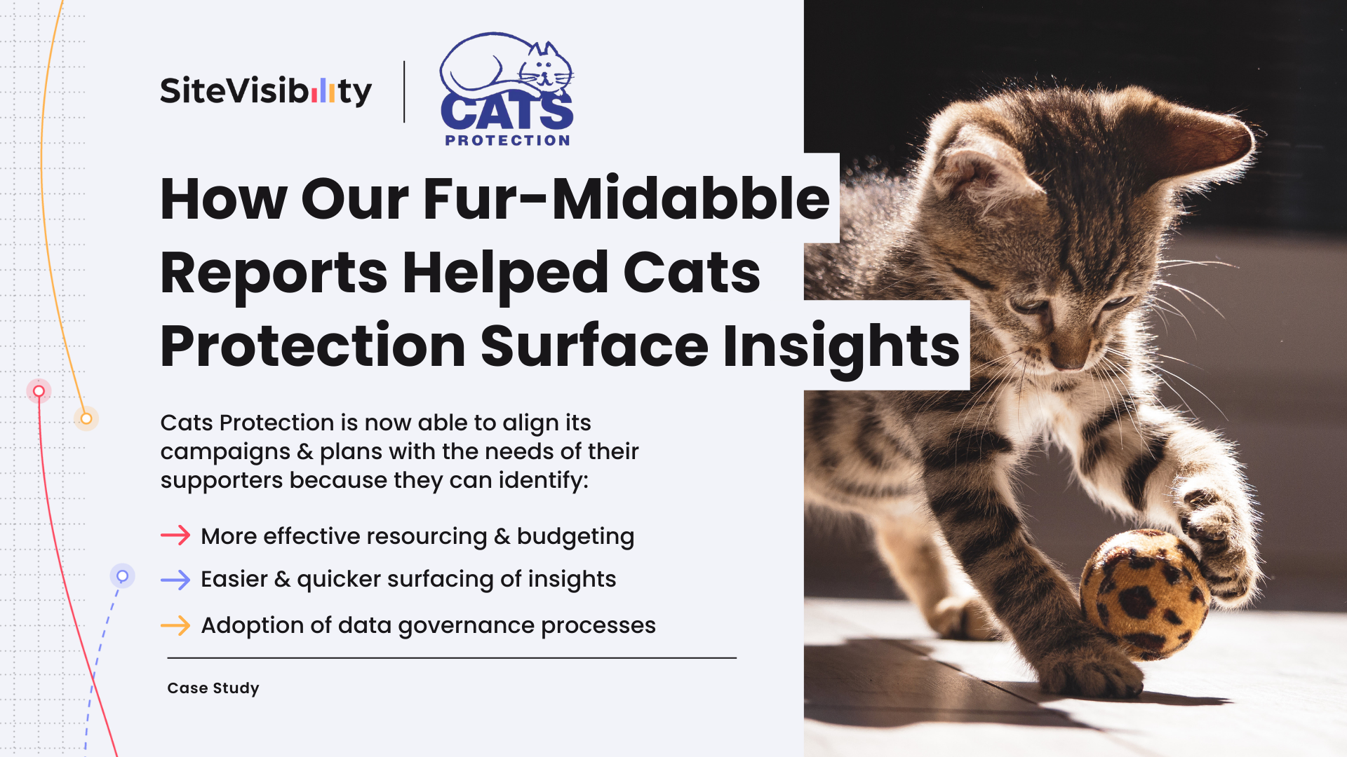 How Our Fur-Midabble Reports Helped Cats Protection Surface Insights